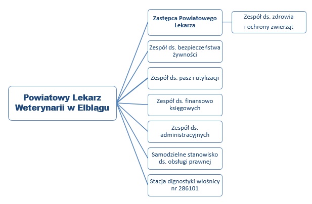 Schemat organizacyjny - schemat blokowy - obraz